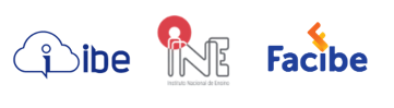 Instituto INE
